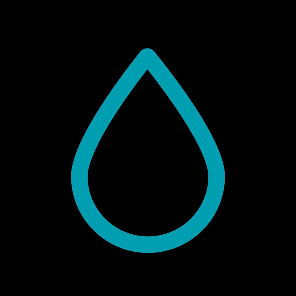 Montana Logo